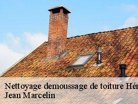 Nettoyage demoussage de toiture 34 Hérault  Jean Marcelin