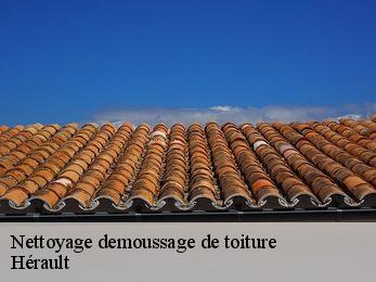 Nettoyage demoussage de toiture Hérault