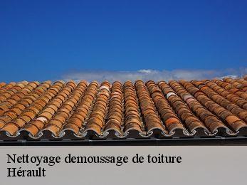 Nettoyage demoussage de toiture Hérault 