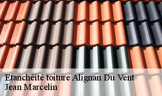 Etanchéité toiture  alignan-du-vent-34290 Jean Marcelin