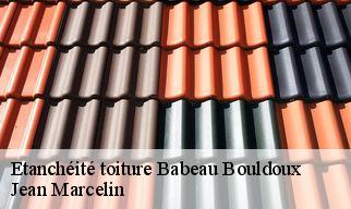 Etanchéité toiture  babeau-bouldoux-34360 Jean Marcelin