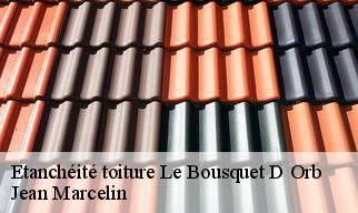Etanchéité toiture  le-bousquet-d-orb-34260 Jean Marcelin