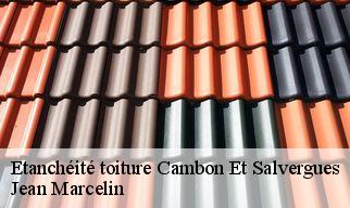 Etanchéité toiture  cambon-et-salvergues-34330 Jean Marcelin