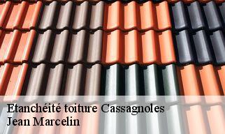 Etanchéité toiture  cassagnoles-34210 Jean Marcelin