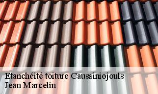 Etanchéité toiture caussiniojouls-34600 Jean Marcelin
