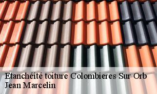 Etanchéité toiture  colombieres-sur-orb-34390 Jean Marcelin