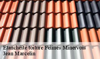 Etanchéité toiture  felines-minervois-34210 Jean Marcelin