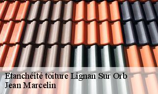 Etanchéité toiture  lignan-sur-orb-34490 Jean Marcelin