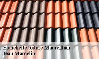 Etanchéité toiture  maureilhan-34370 Jean Marcelin