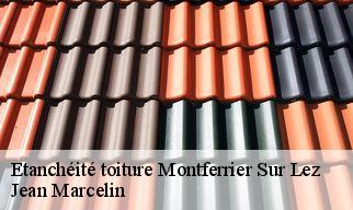 Etanchéité toiture montferrier-sur-lez-34980 Jean Marcelin