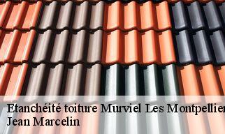 Etanchéité toiture murviel-les-montpellier-34570 Jean Marcelin