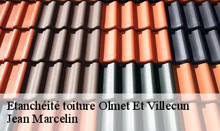 Etanchéité toiture  olmet-et-villecun-34700 Jean Marcelin