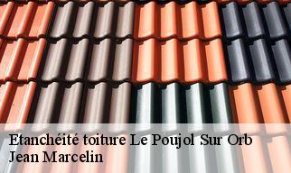 Etanchéité toiture  le-poujol-sur-orb-34600 Jean Marcelin