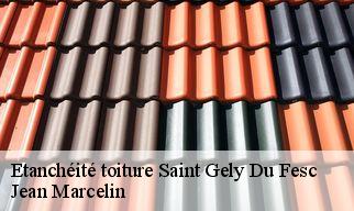 Etanchéité toiture  saint-gely-du-fesc-34980 Jean Marcelin