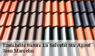 Etanchéité toiture  la-salvetat-sur-agout-34330 Jean Marcelin