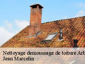 Nettoyage demoussage de toiture  arboras-34150 Jean Marcelin