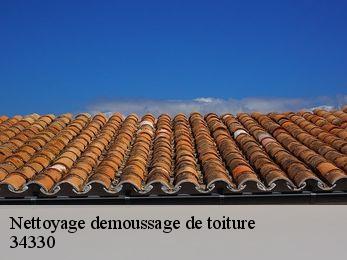 Nettoyage demoussage de toiture  34330