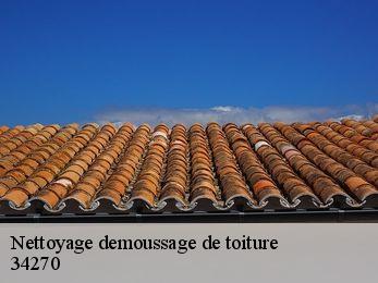 Nettoyage demoussage de toiture 34270
