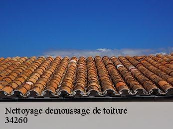 Nettoyage demoussage de toiture 34260
