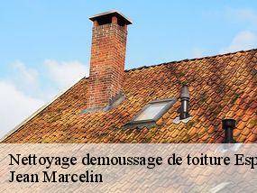 Nettoyage demoussage de toiture espondeilhan-34290 Jean Marcelin
