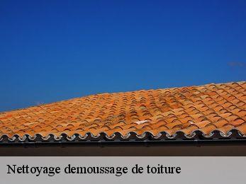 Nettoyage demoussage de toiture