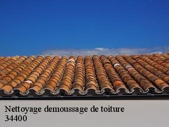 Nettoyage demoussage de toiture 34400