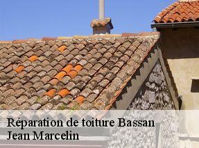 Réparation de toiture  bassan-34290 Jean Marcelin