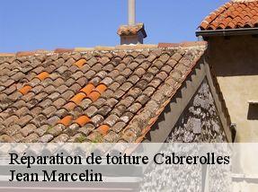 Réparation de toiture  cabrerolles-34480 Jean Marcelin