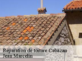 Réparation de toiture cebazan-34360 Jean Marcelin
