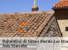 Réparation de toiture  ferrals-les-montagnes-34210 Jean Marcelin