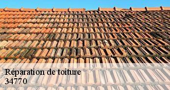 Réparation de toiture 34770