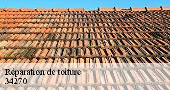 Réparation de toiture 34270