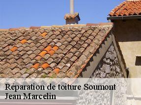 Réparation de toiture soumont-34700 Jean Marcelin