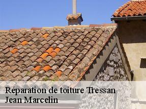 Réparation de toiture tressan-34230 Jean Marcelin