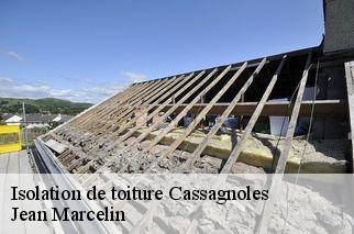 Isolation de toiture  cassagnoles-34210 Jean Marcelin