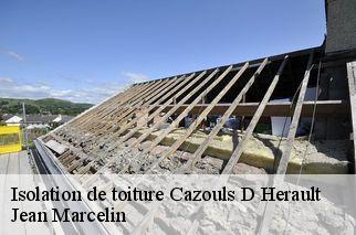 Isolation de toiture  cazouls-d-herault-34120 Jean Marcelin