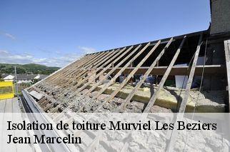 Isolation de toiture murviel-les-beziers-34490 Jean Marcelin