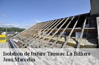 Isolation de toiture  taussac-la-billiere-34600 Jean Marcelin