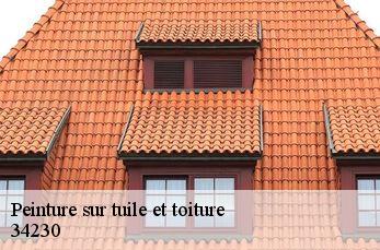 Peinture sur tuile et toiture  34230