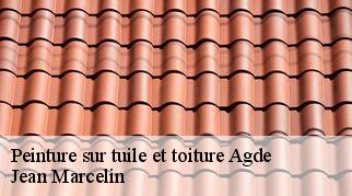 Peinture sur tuile et toiture  agde-34300 Jean Marcelin