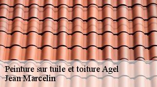 Peinture sur tuile et toiture agel-34210 Jean Marcelin