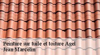 Peinture sur tuile et toiture  agel-34210 Jean Marcelin