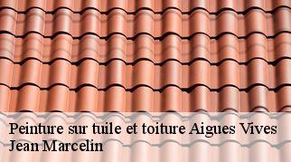 Peinture sur tuile et toiture aigues-vives-34210 Jean Marcelin