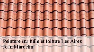 Peinture sur tuile et toiture les-aires-34600 Jean Marcelin