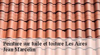 Peinture sur tuile et toiture  les-aires-34600 Jean Marcelin