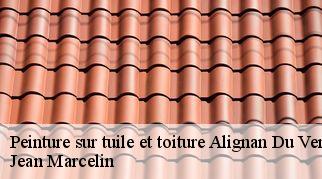 Peinture sur tuile et toiture alignan-du-vent-34290 Jean Marcelin