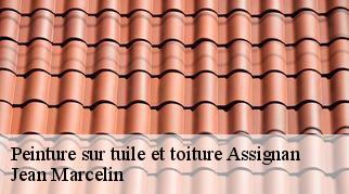 Peinture sur tuile et toiture assignan-34360 Jean Marcelin
