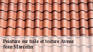 Peinture sur tuile et toiture  avene-34260 Jean Marcelin