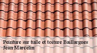 Peinture sur tuile et toiture  baillargues-34670 Jean Marcelin