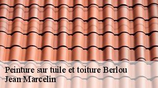 Peinture sur tuile et toiture  berlou-34360 Jean Marcelin